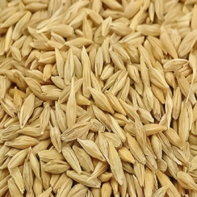 Jau - Buy Online Australia | Om Spice & Grocery